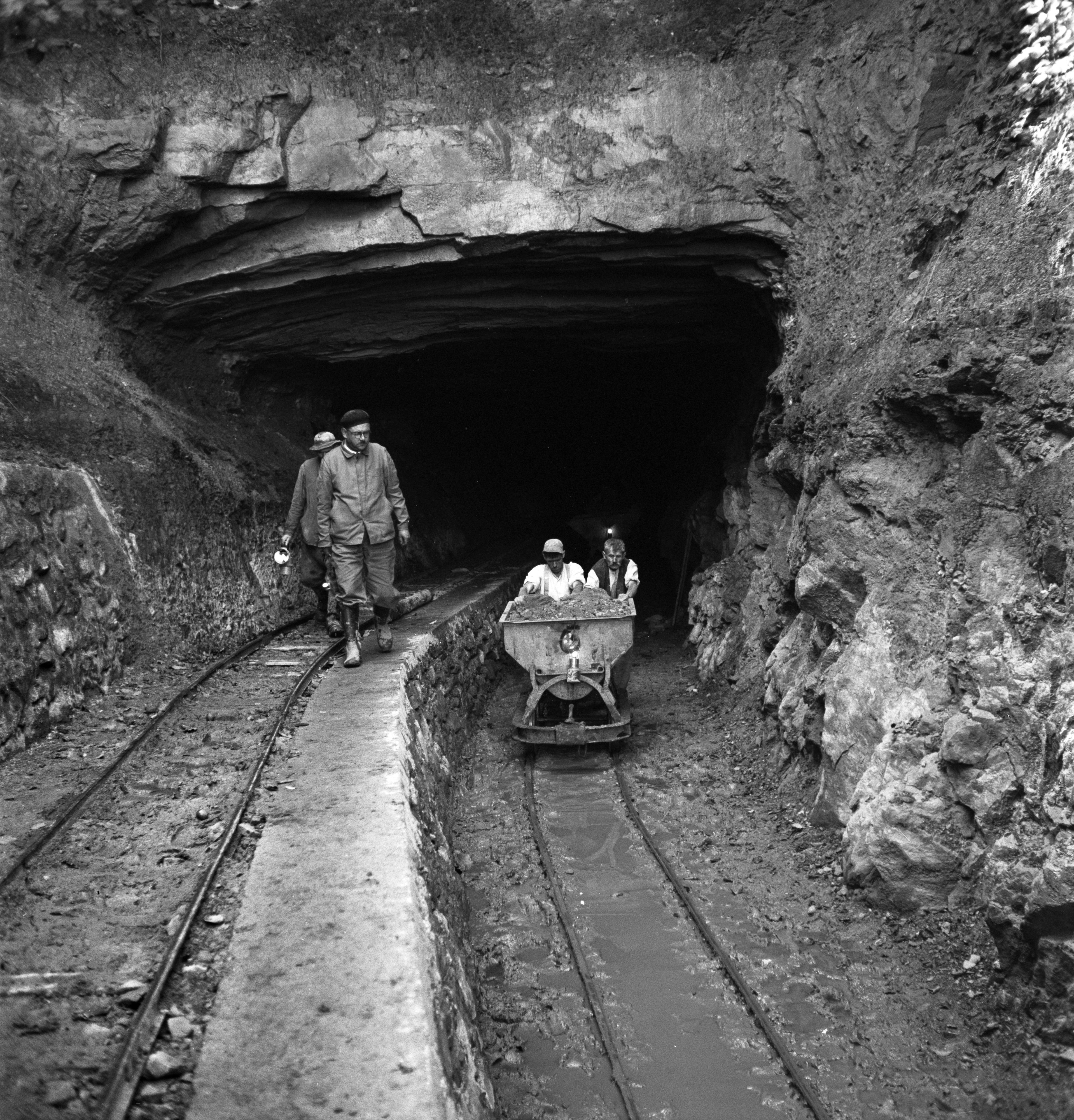 Mit-Z-rcher-Kohle-zur-Energiewende