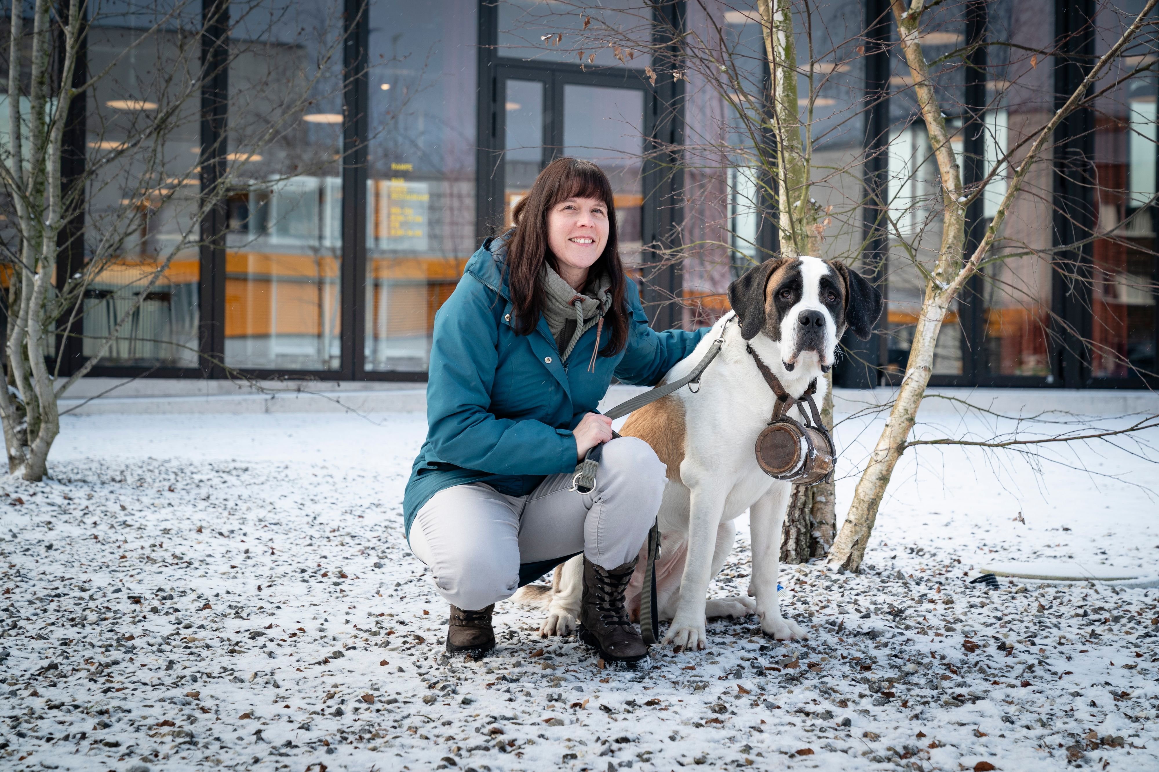 Hat-ihr-Hund-das-Zeug-zum-Filmstar-Die-Trainerin-die-den-Bernhardiner-Barry-fit-f-r-die-Kamera-gemacht-hat-gibt-Tipps-