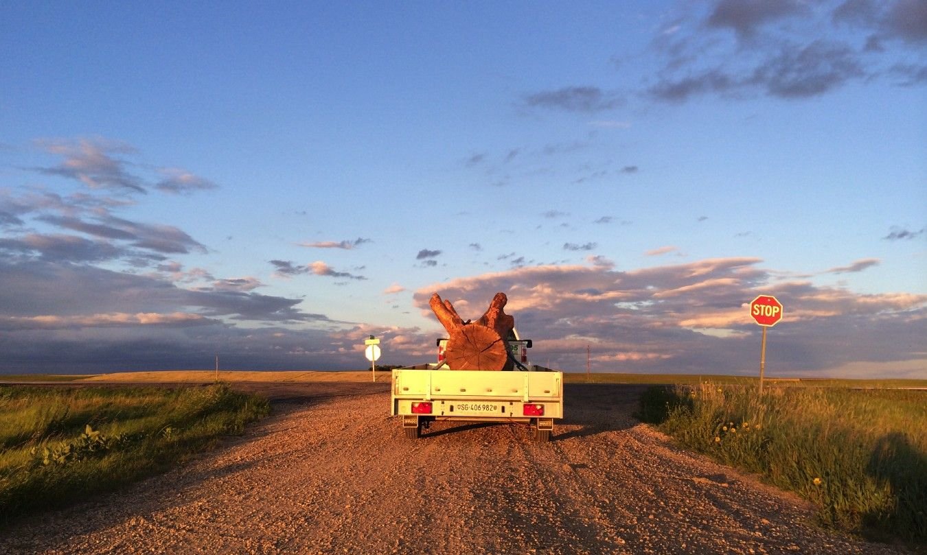 Die-absurde-Geschichte-eines-Baumstamms-auf-Weltreise-Das-Urn-scher-Bloch-ist-zur-ck-und-h-ngt-schon-wieder-fest