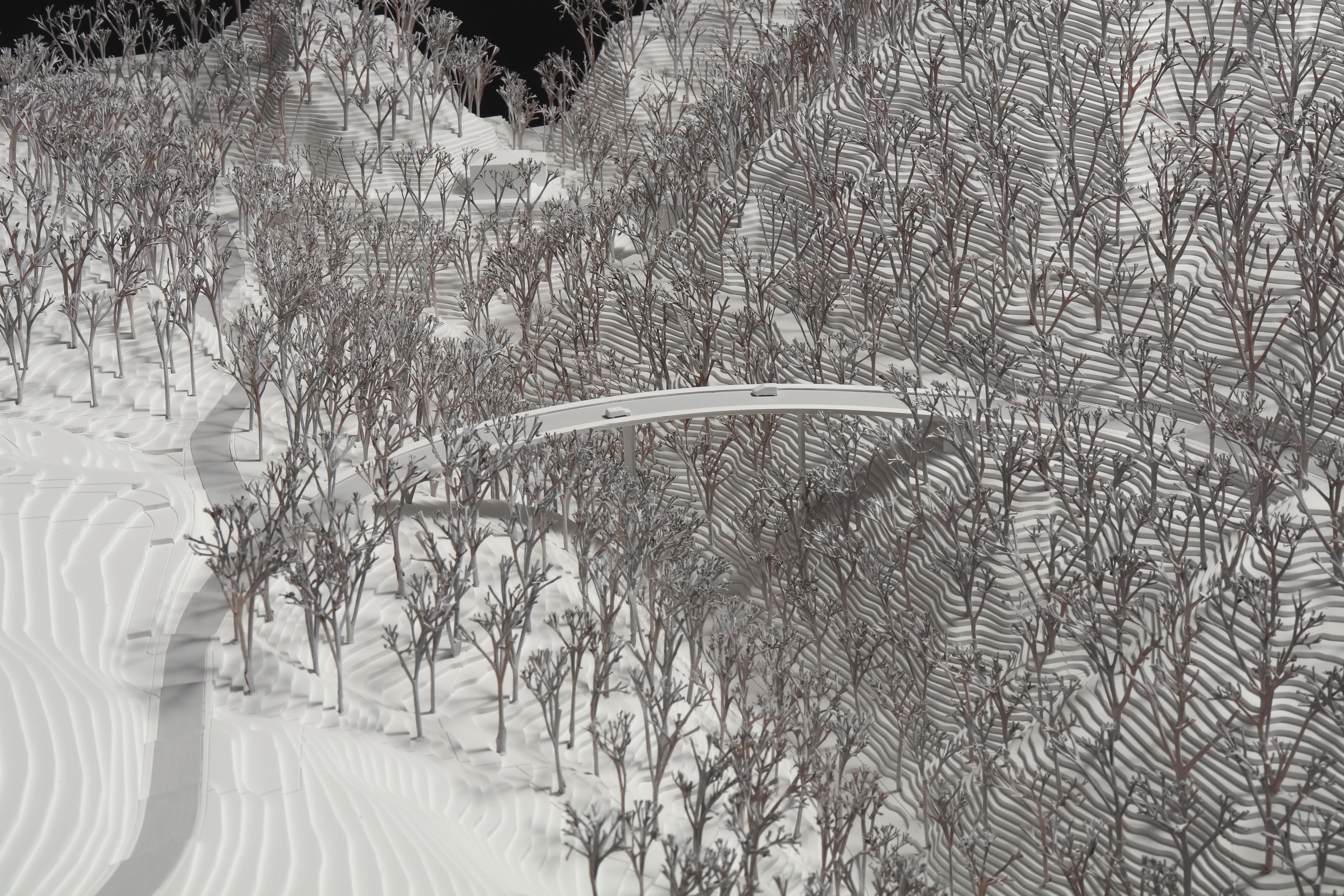 Neue-Br-cke-im-Vorderland-und-nderungen-bei-der-Pr-mienverbilligung-Diese-politischen-Vorlagen-stehen-2026-in-Ausserrhoden-an