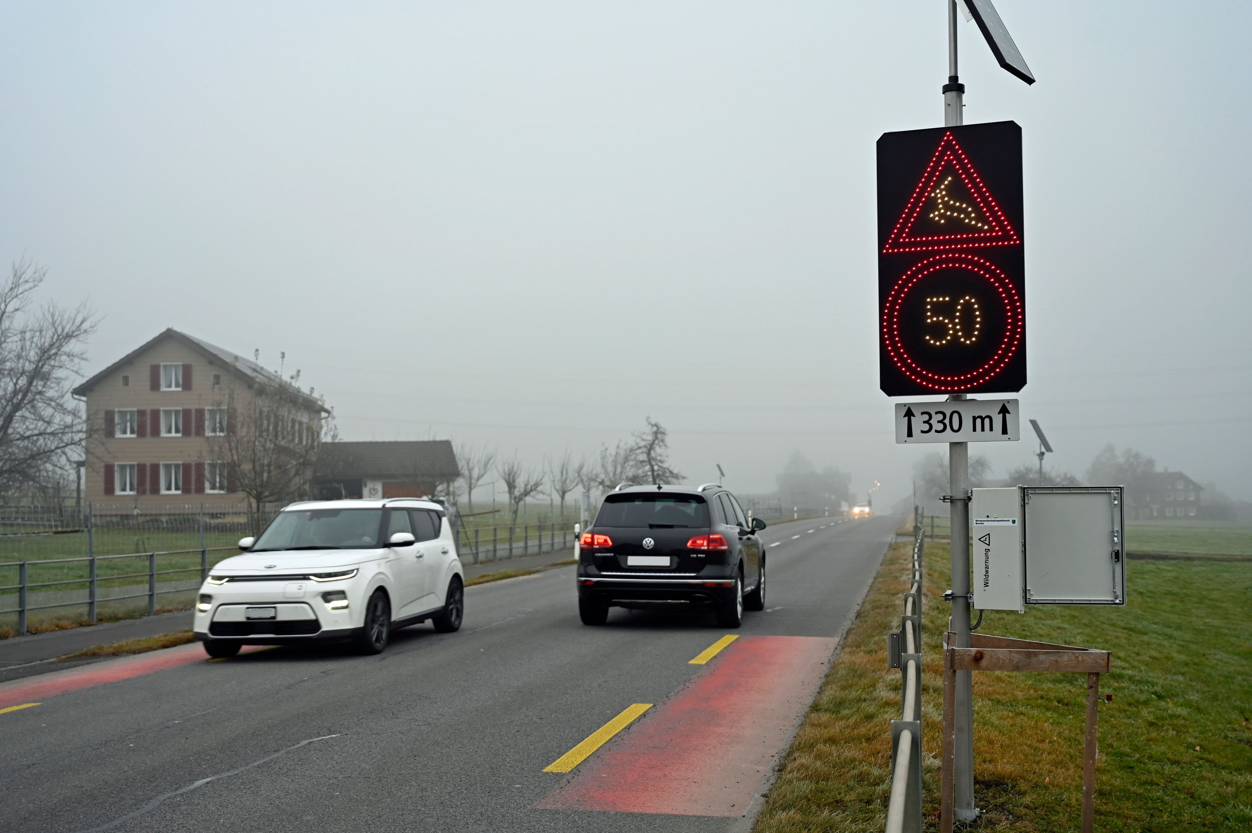 -Anw-lte-der-Wildtiere-jubeln-Hightech-stoppt-das-Sterben-zwischen-Grabs-und-Gams