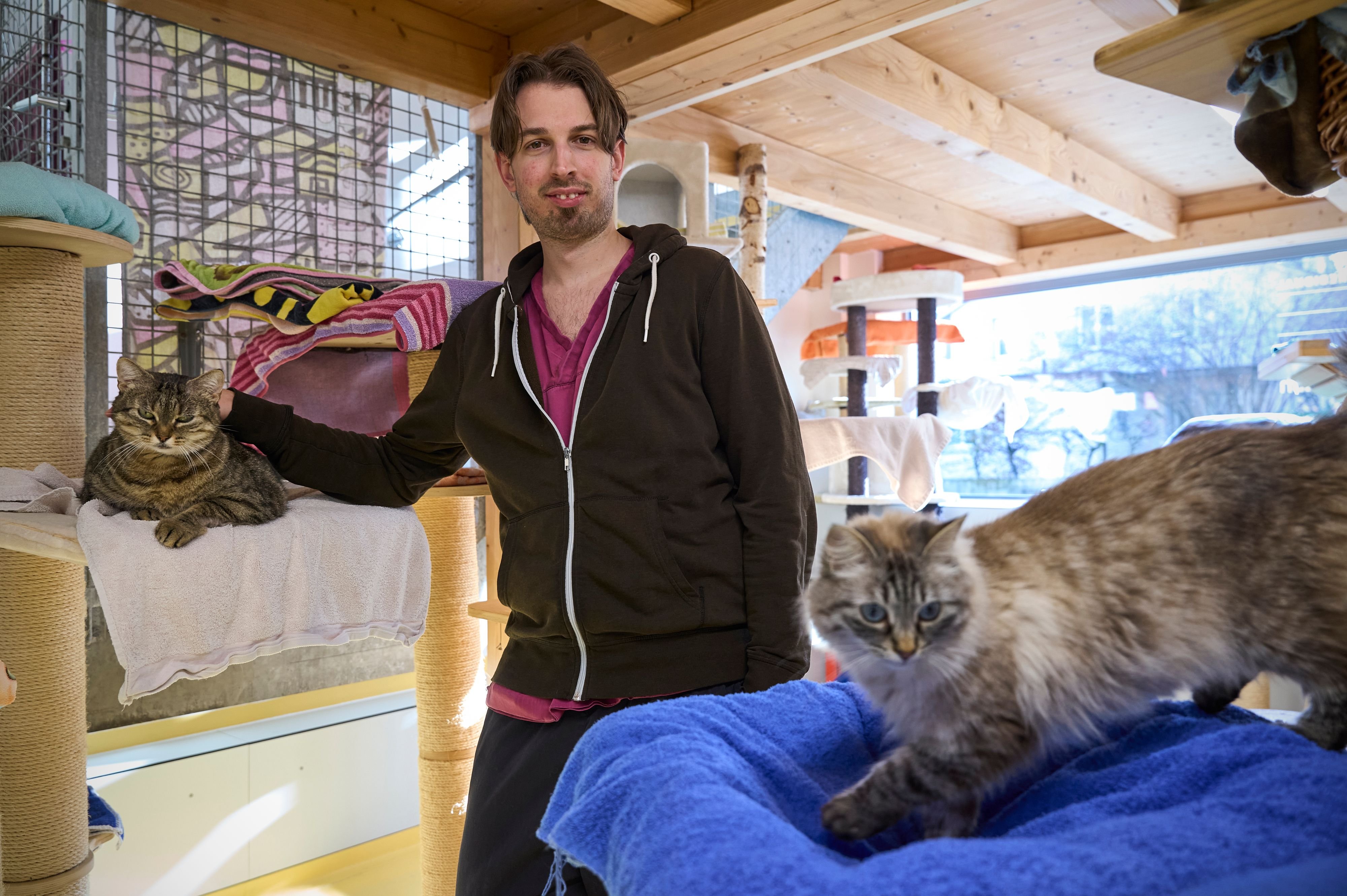 -Der-Tierschutz-ist-immer-ein-Kampf-Katzenheim-in-Muttenz-ist-auf-Spenden-angewiesen