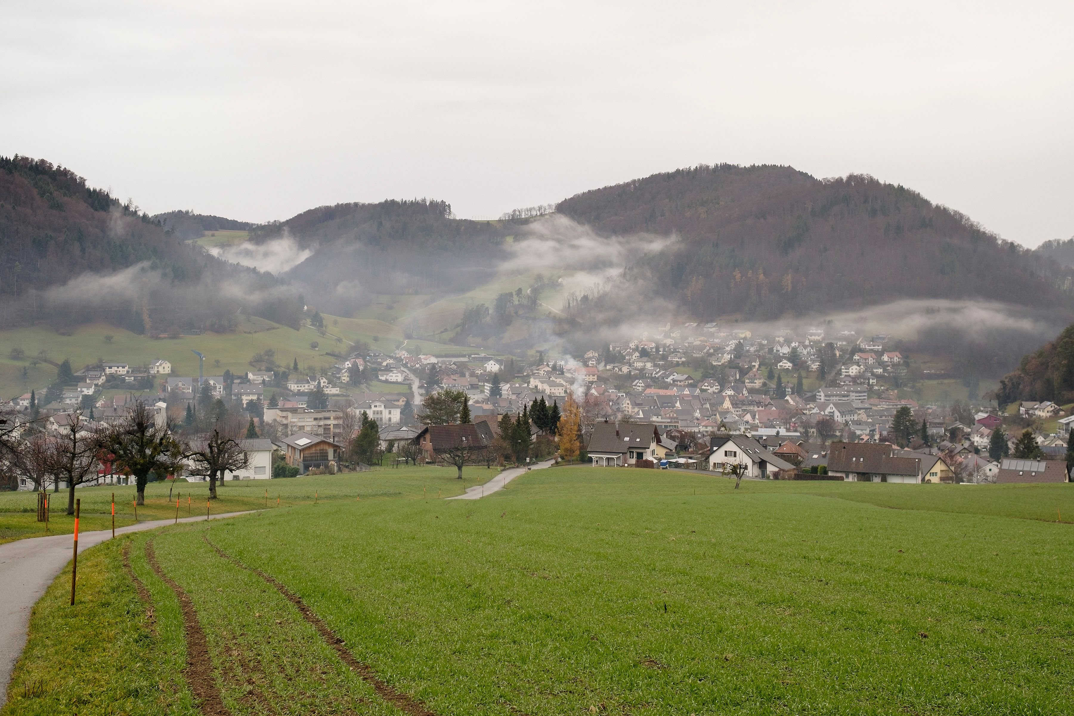 Ex-Gemeinder-tin-von-Oberdorf-k-nnte-Nachfolgerin-ihres-Nachfolgers-werden