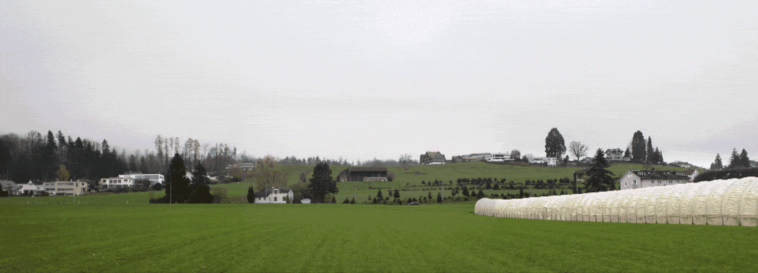 eine-kantonsstrasse-bis-zum-bodensee-und-ein-anschluss-an-die-a1-die-wichtigsten-antworten-zur-st-galler-volksabstimmung