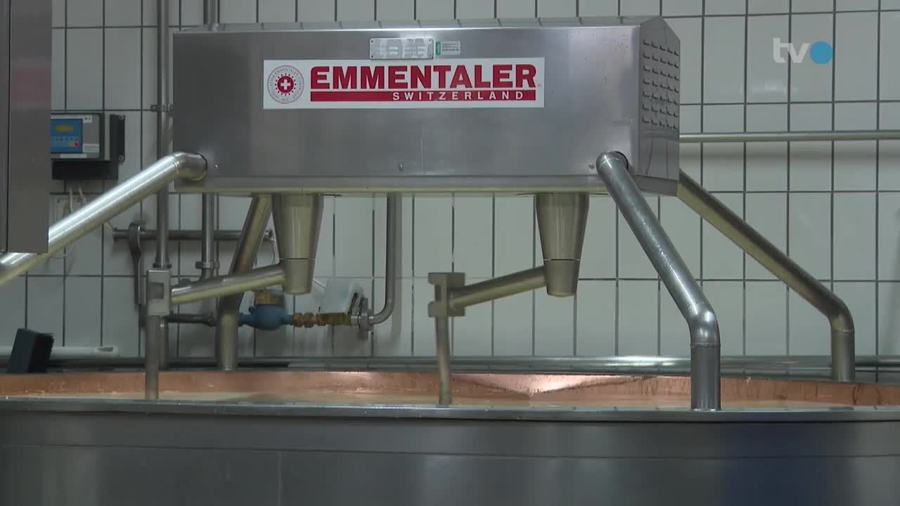 Harter-Preiskampf-Ostschweizer-K-he-produzieren-zu-viel-Milch