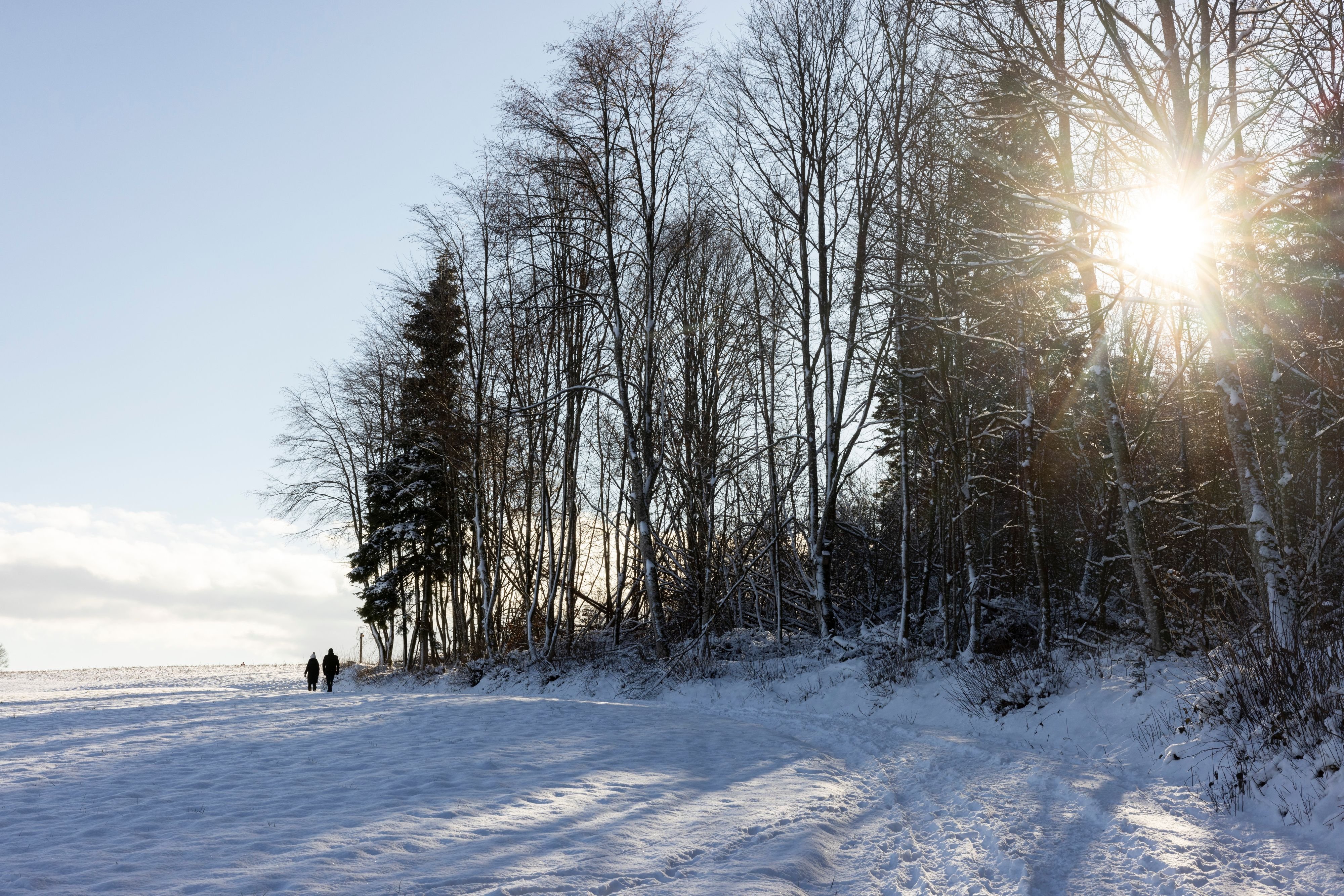 Eine-Auswertung-zeigt-So-sonnenverw-hnt-ist-Ihre-Gemeinde