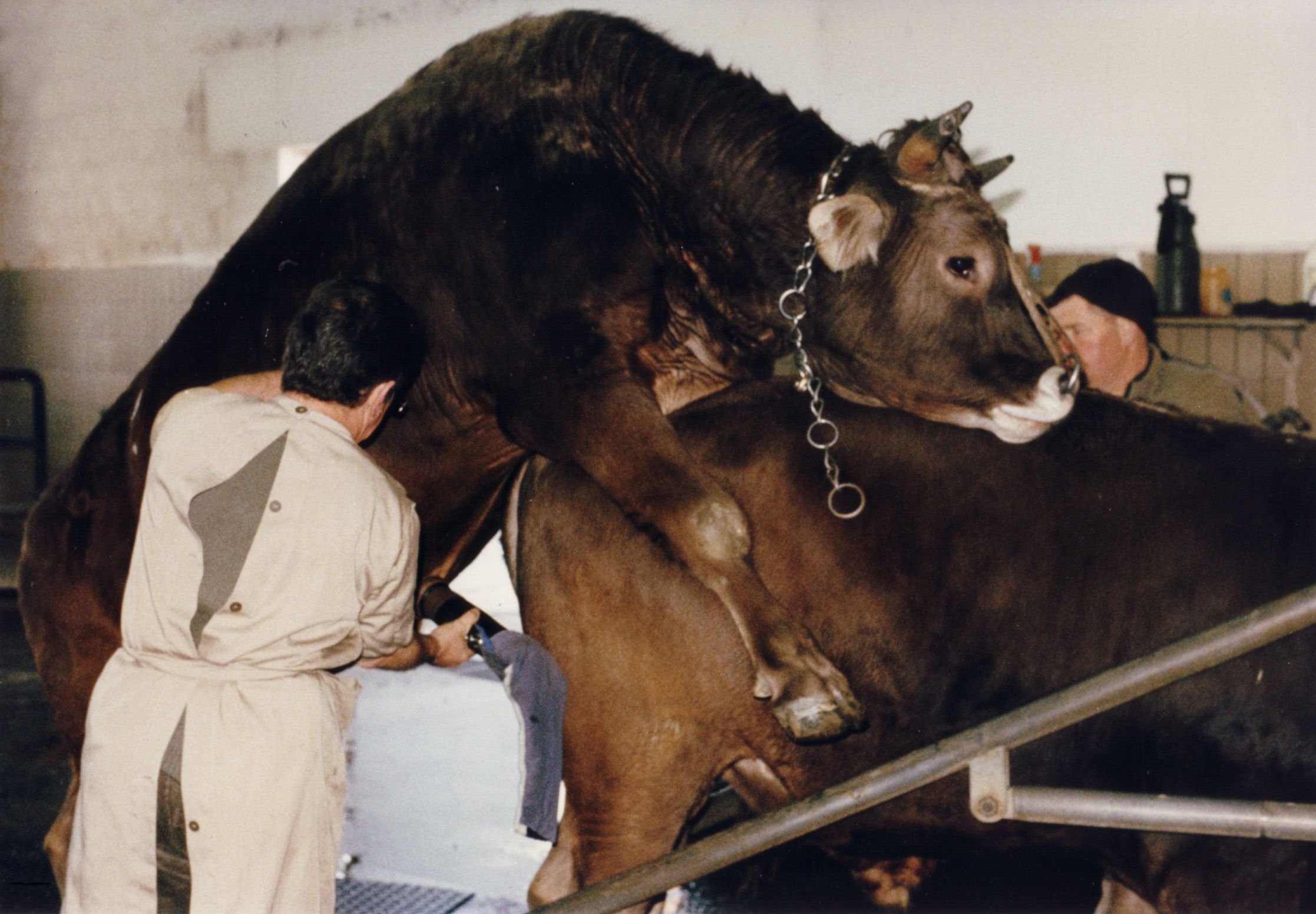 Der-berlebenskampf-der-Bauern-mit-prominenten-Schaupl-tzen-im-Toggenburg-Erich-Langjahrs-Film-Bauernkrieg-von-1998-kommt-zur-ck-in-die-Kinos