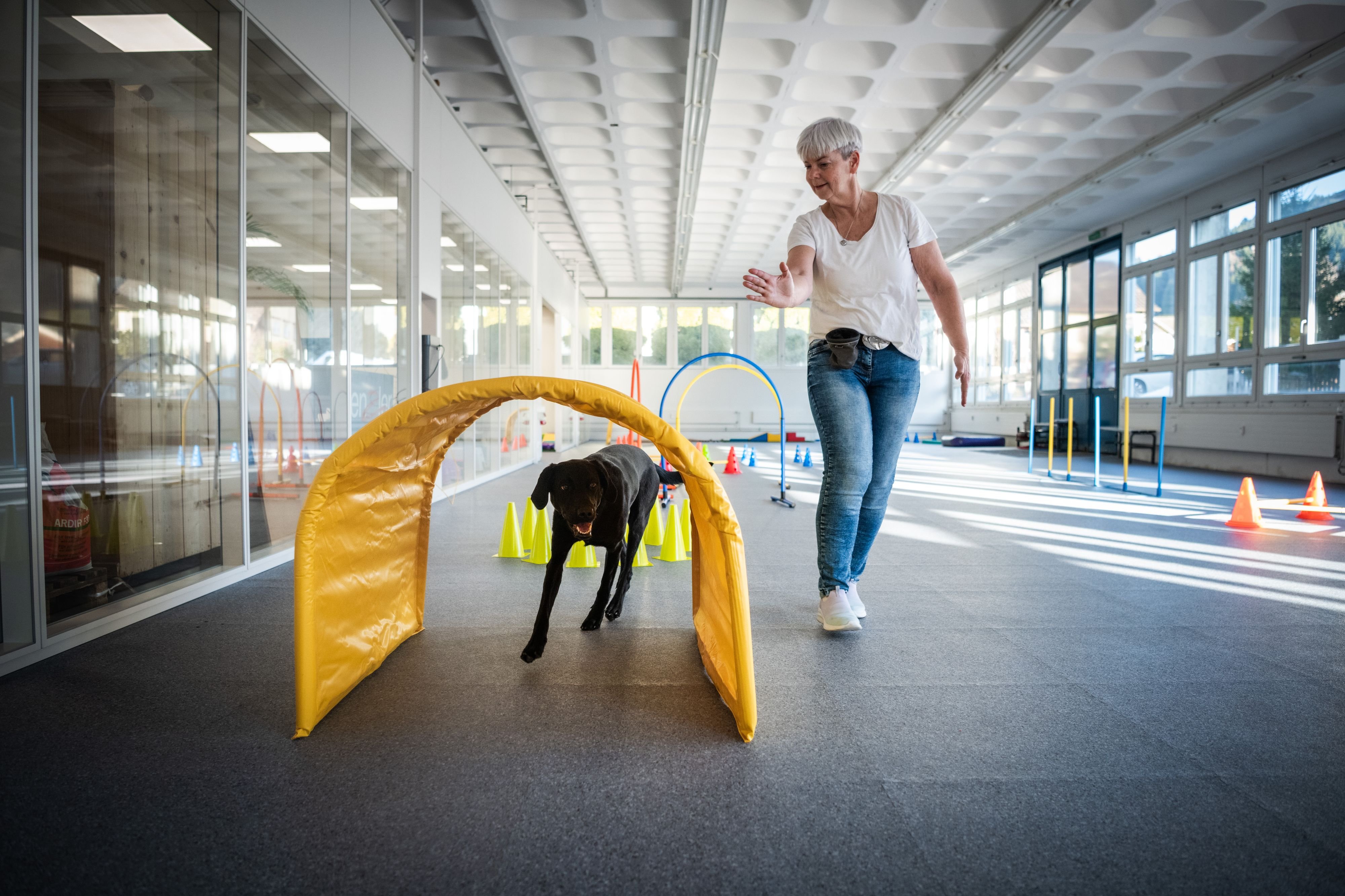 Gesch-tzter-Raum-f-r-vier-Pfoten-Appenzeller-Hundetrainerin-er-ffnet-Indoor-Erlebnispark-als-Alternative-zum-klassischen-Gassigehen