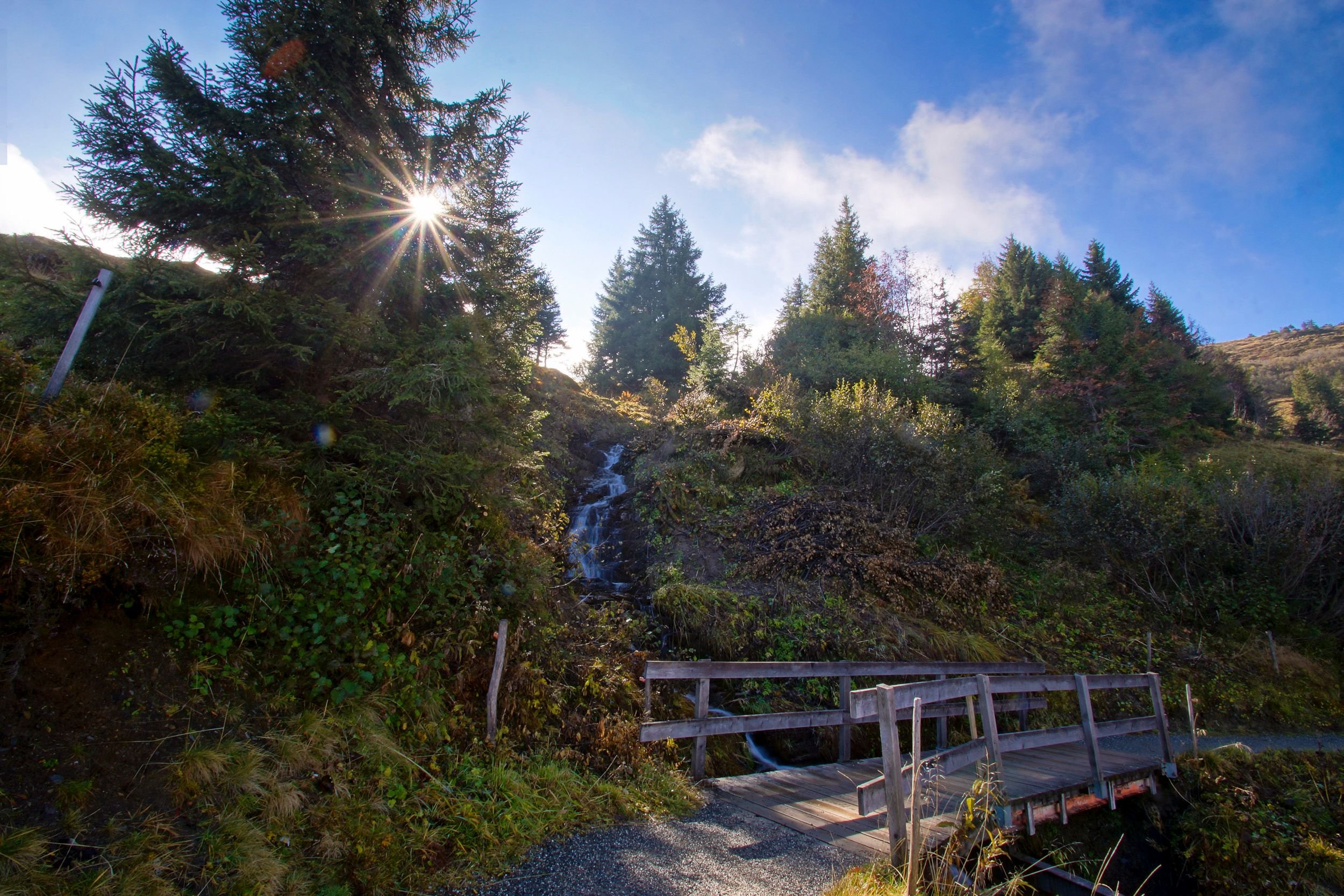 Unerwartete-Wende-im-Heidiland-Rollstuhlprozess-Staatsanwaltschaft-fordert-Freispr-che-f-r-alle-Angeklagten