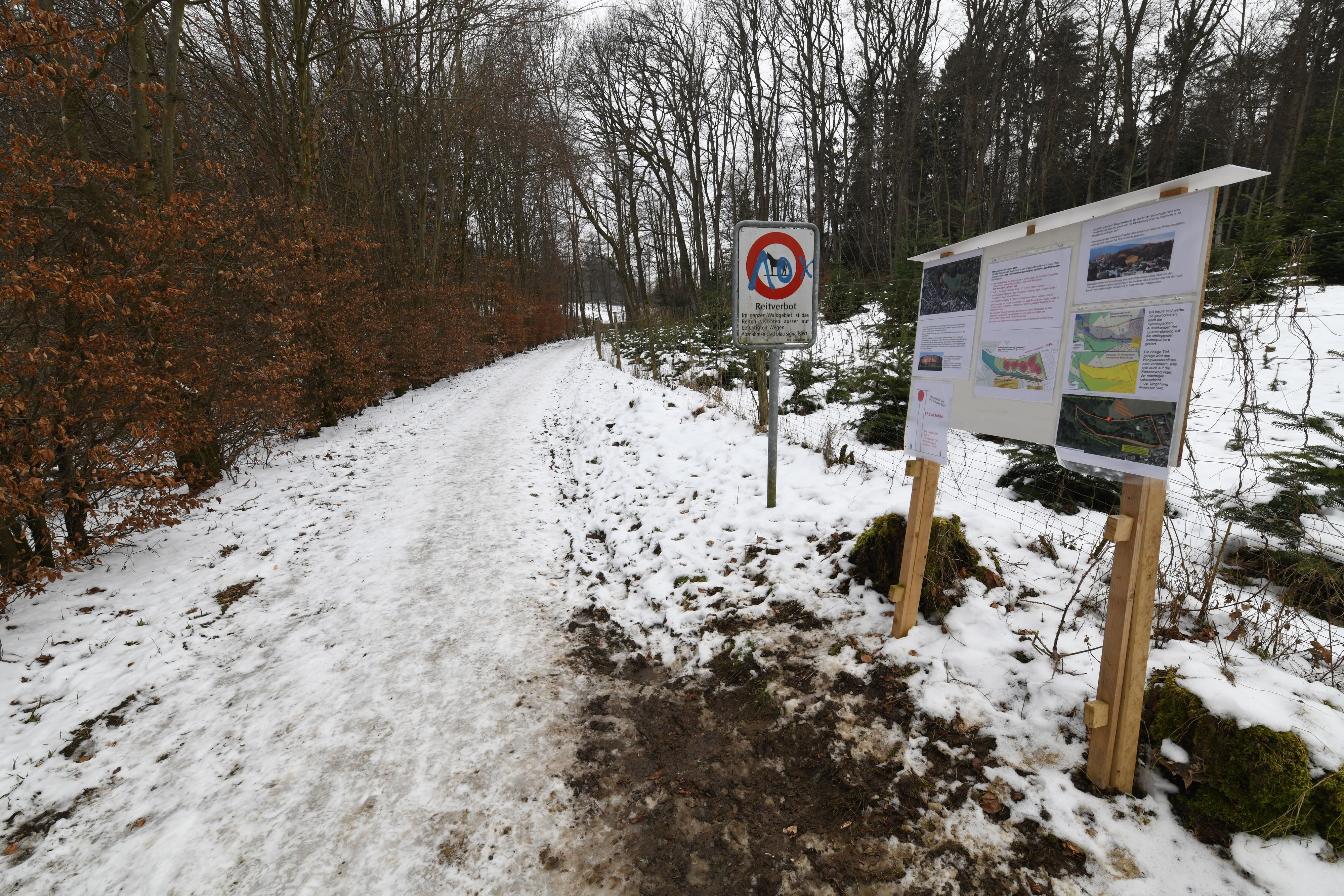 Waldlichtung-wird-wohl-berbaut-im-dritten-Anlauf-und-ohne-Volk