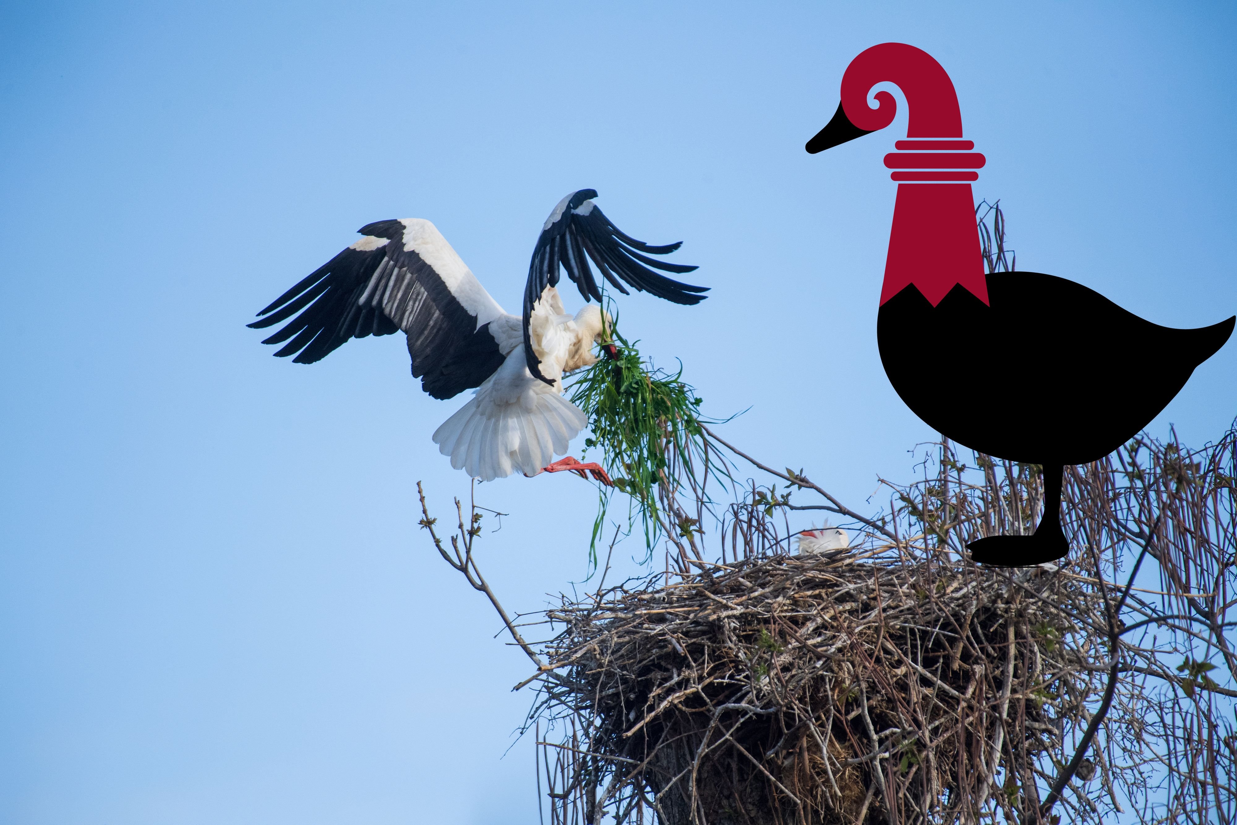 Die-Wochenente-Freisinn-Finanzen-und-kackende-V-gel