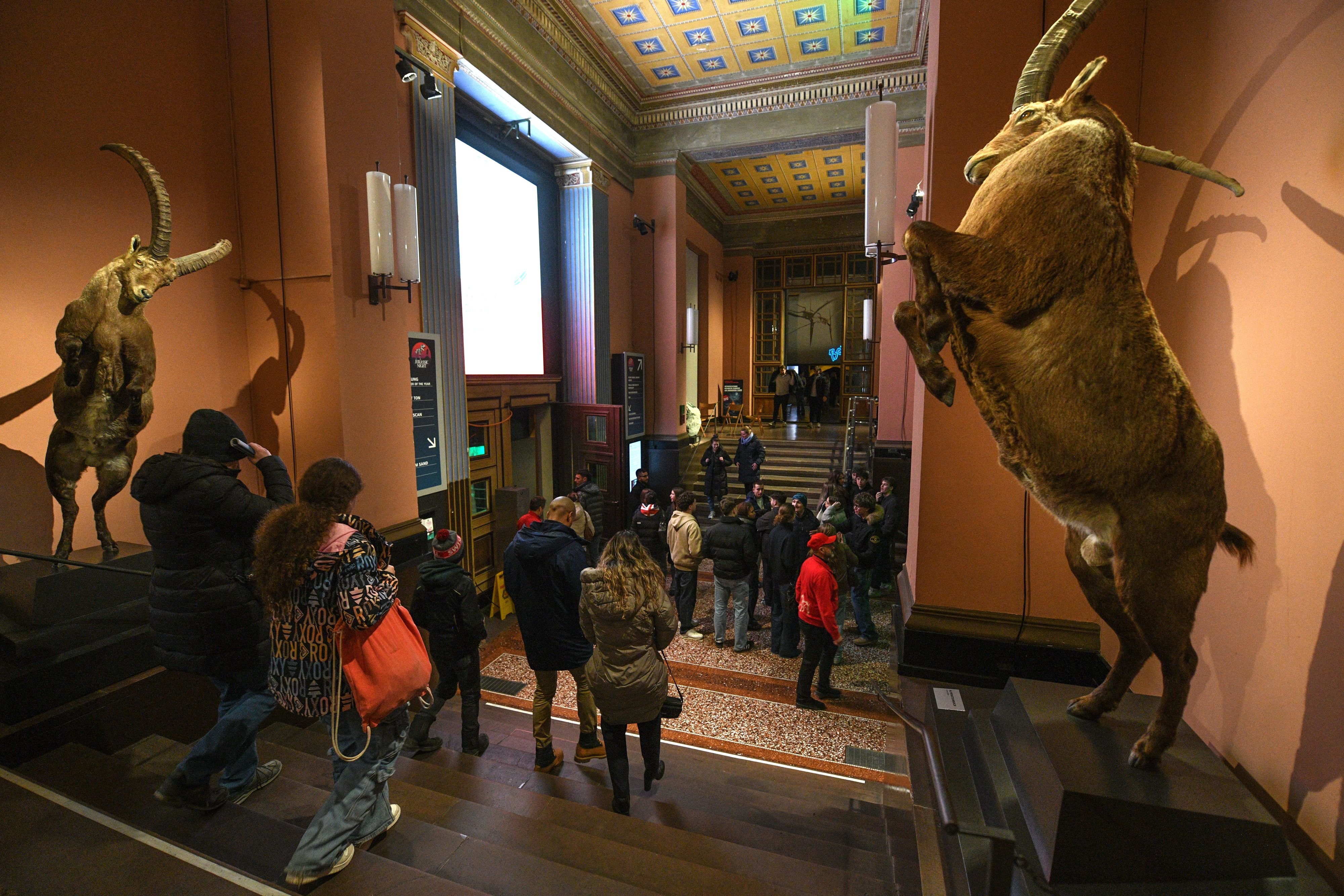 grossandrang-bei-kusama-glitzer-im-spielzeugmuseum-das-war-die-museumsnacht