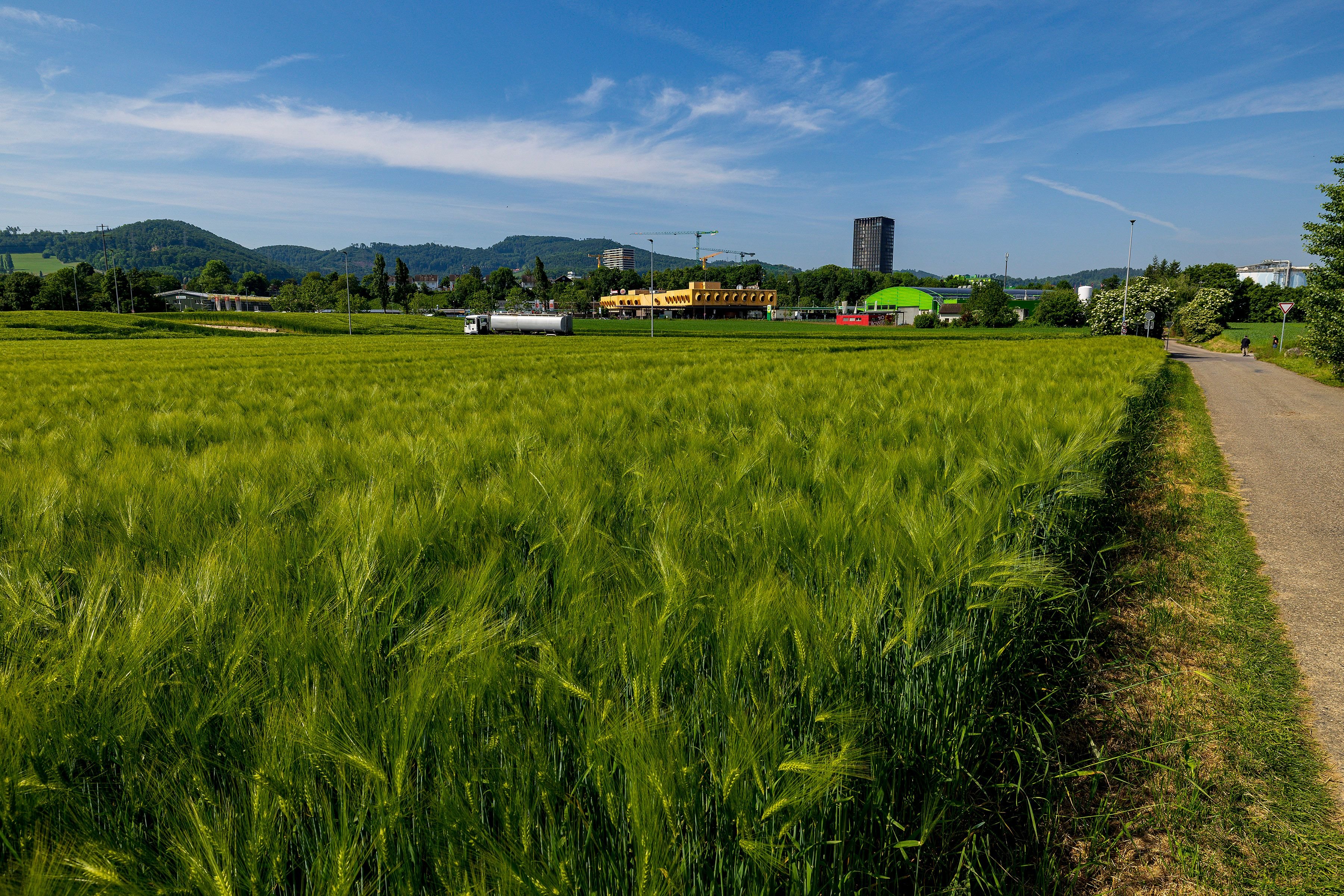 Landr-te-von-links-bis-rechts-werben-f-r-neues-Spital-auf-der-gr-nen-Wiese