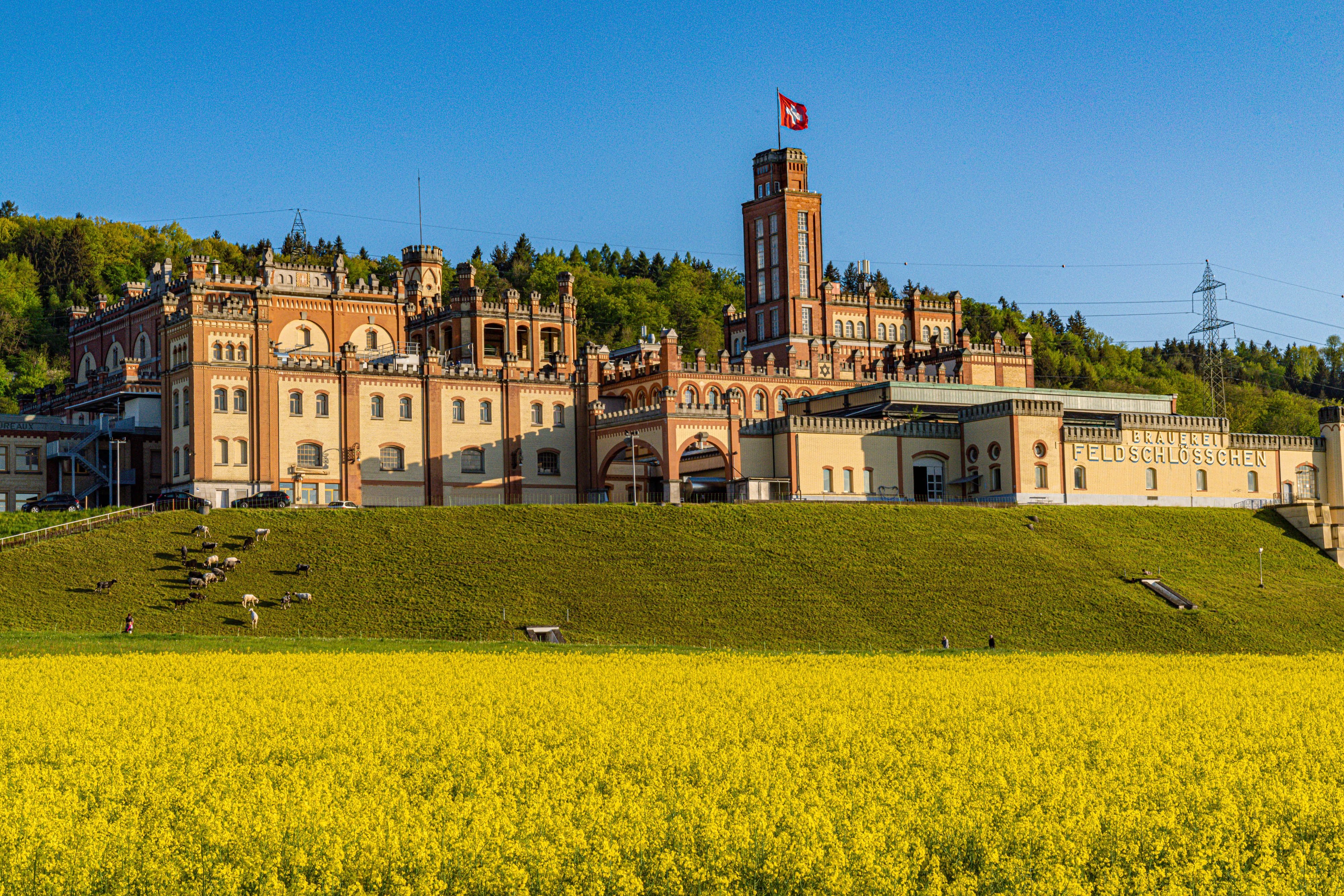 Ein-Gifth-ttli-wird-zum-Feldschl-sschen-und-zur-gr-ssten-Brauerei-der-Schweiz