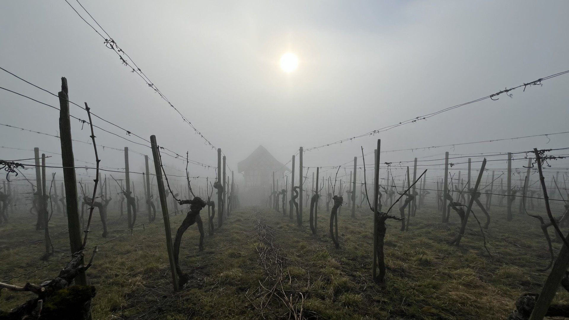 News-aus-dem-Thurgau-vom-23-Dezember-2025-bis-27-Januar-2026