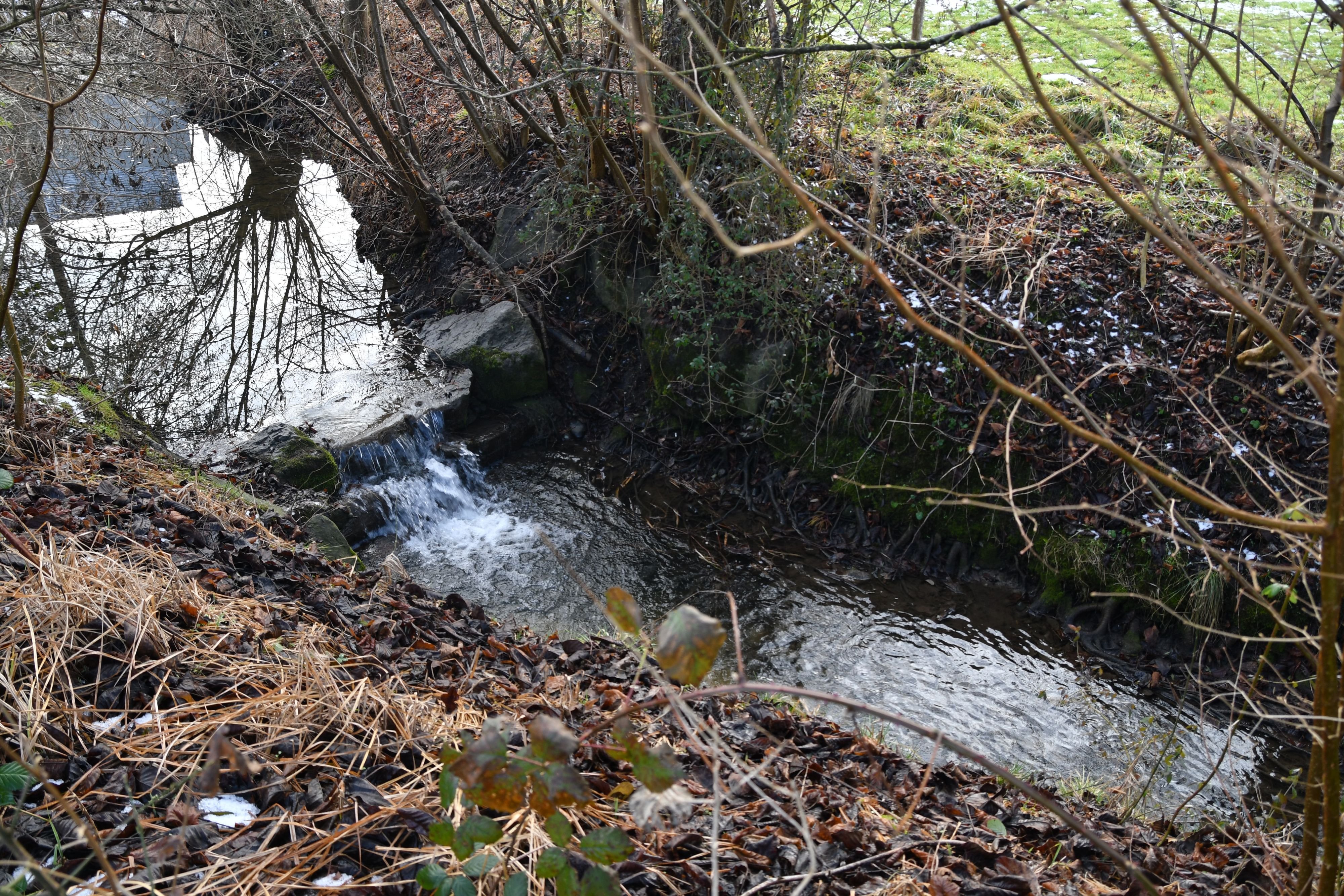 Grundeigent-merverbindlicher-Gew-sserraum-In-der-Gemeinde-Sulgen-findet-derzeit-die-Vernehmlassung-statt