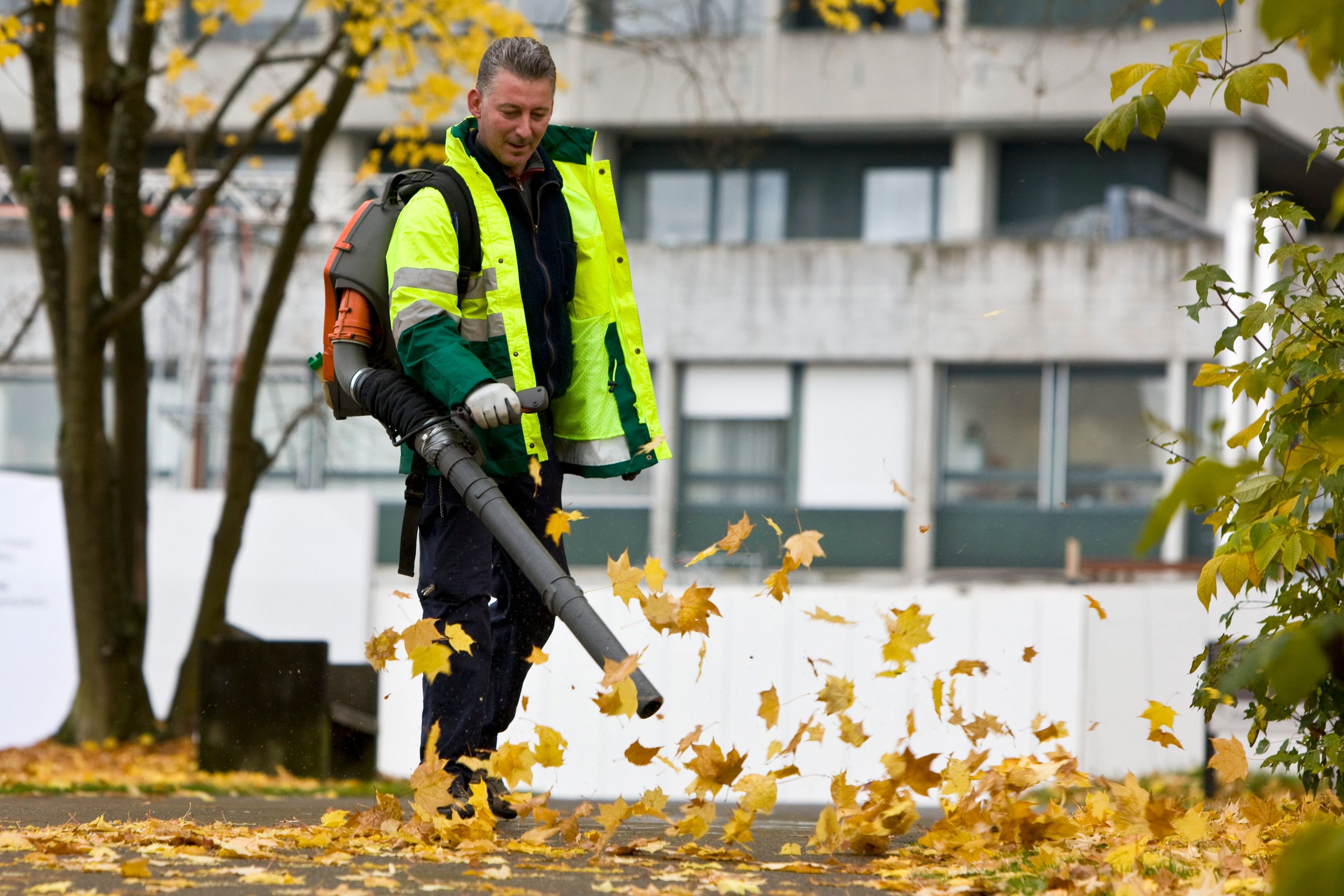 Benzinbetriebene-Laubbl-ser-erhalten-Gnadenfrist