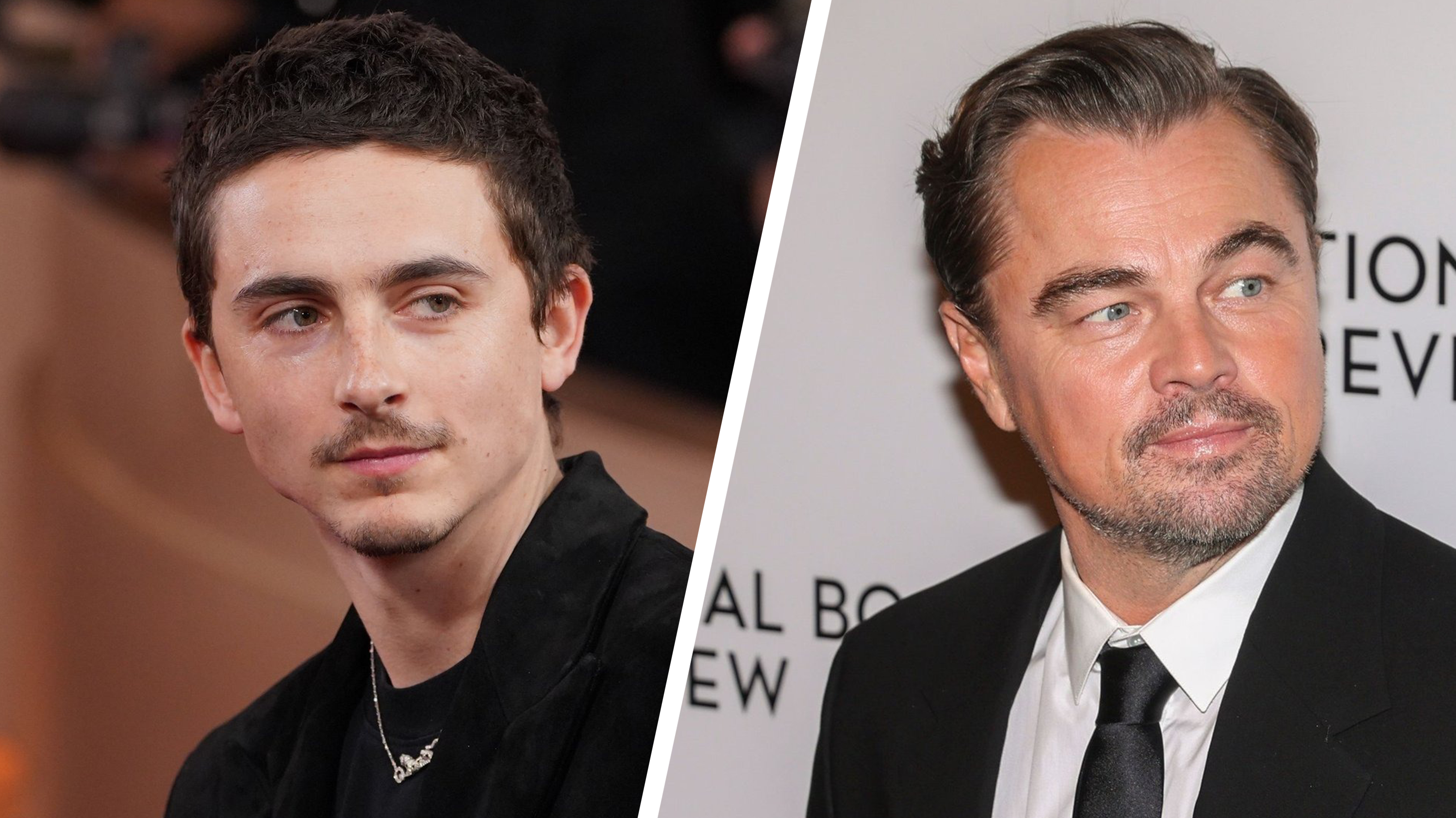 Geht-es-nach-den-Wettm-rkten-ist-schon-l-ngst-klar-wer-die-Oscars-gewinnt