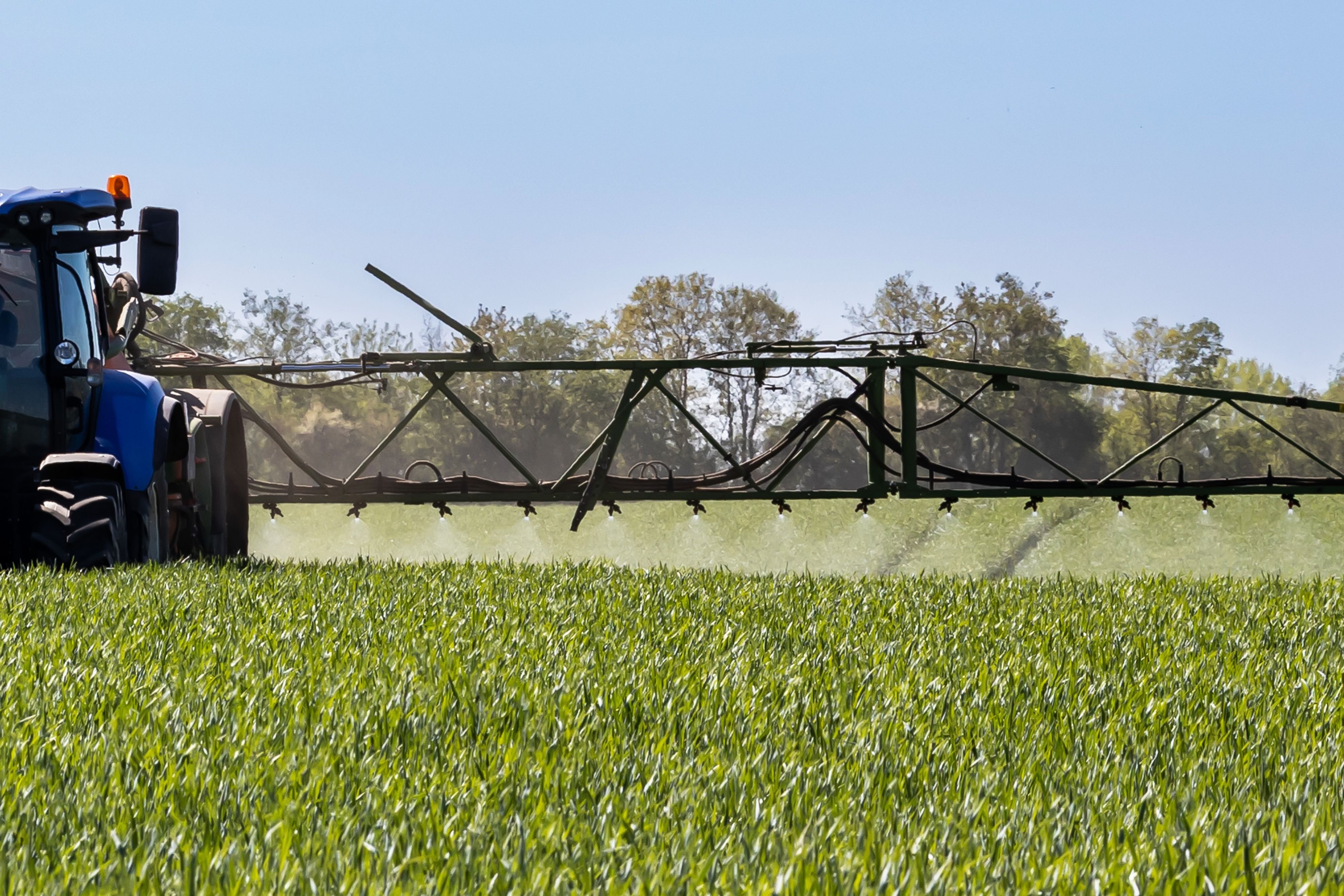 70-Prozent-der-B-den-in-Europa-sind-mit-Pestiziden-belastet-welche-diese-nachhaltig-schw-chen