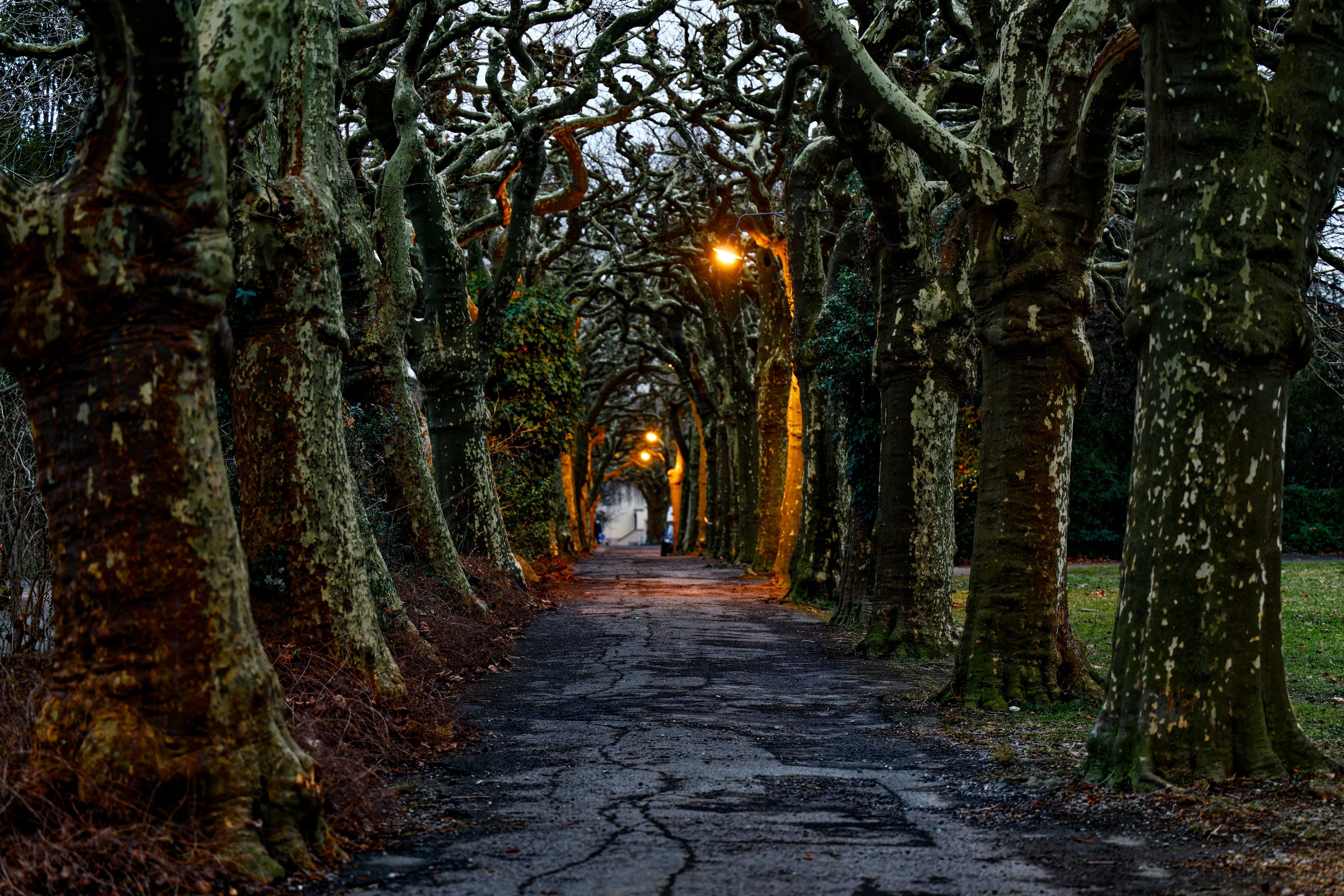 Wegen-Einsprache-Jubil-umsfeier-wird-sich-wohl-verz-gern