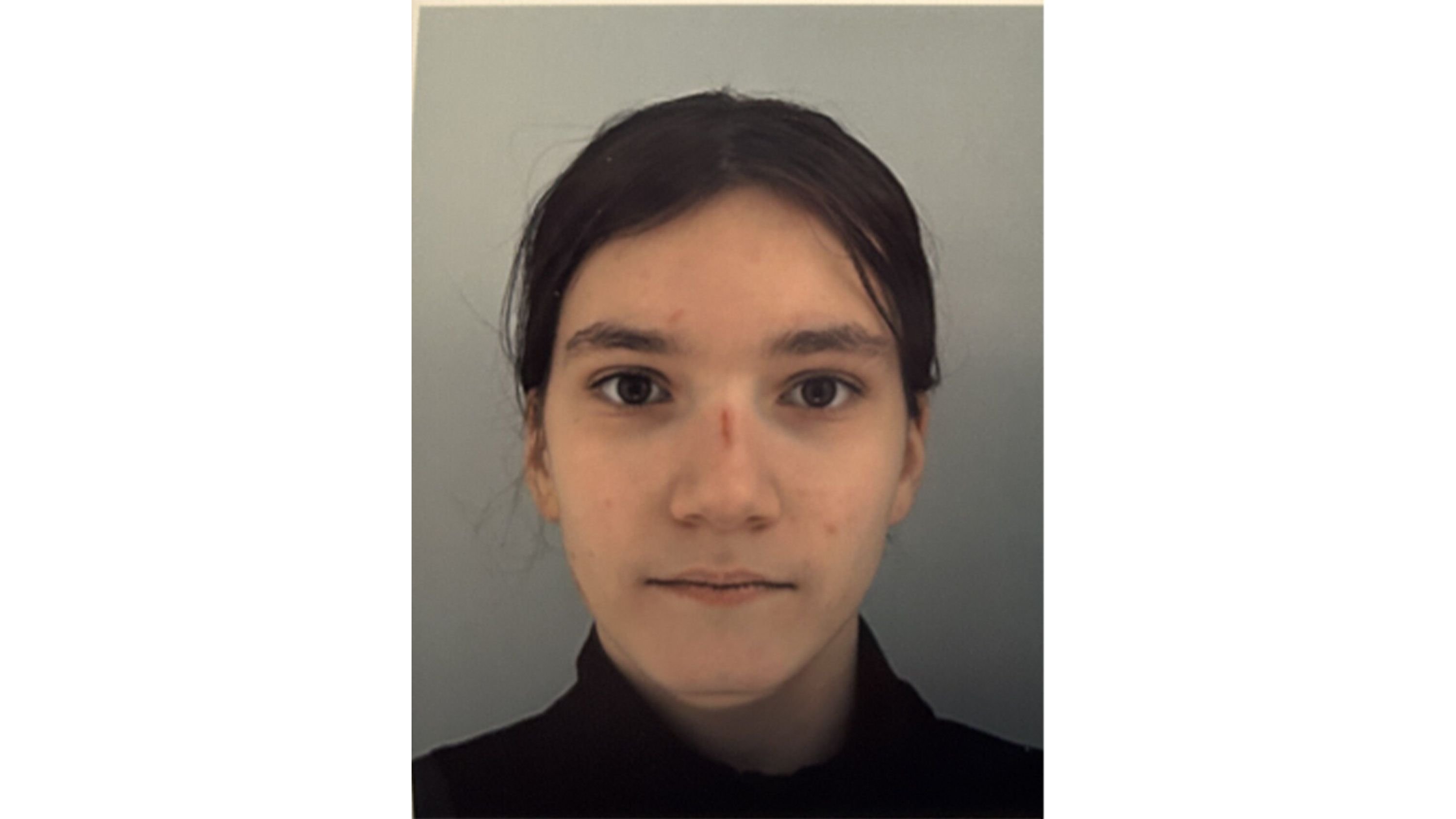 Vermisst-Wer-hat-die-15-j-hrige-Annika-gesehen-