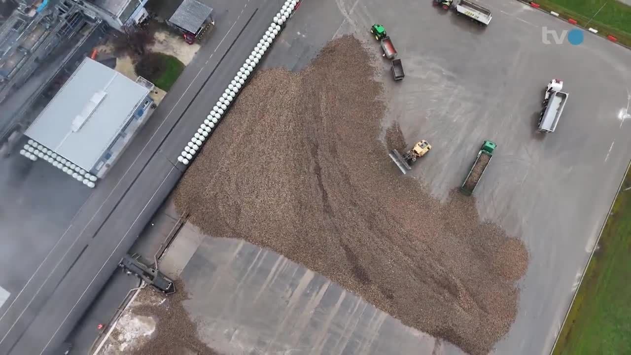 Dank-Notl-sung-Frauenfelder-Zuckerfabrik-l-uft-wieder-fast-auf-Normalbetrieb