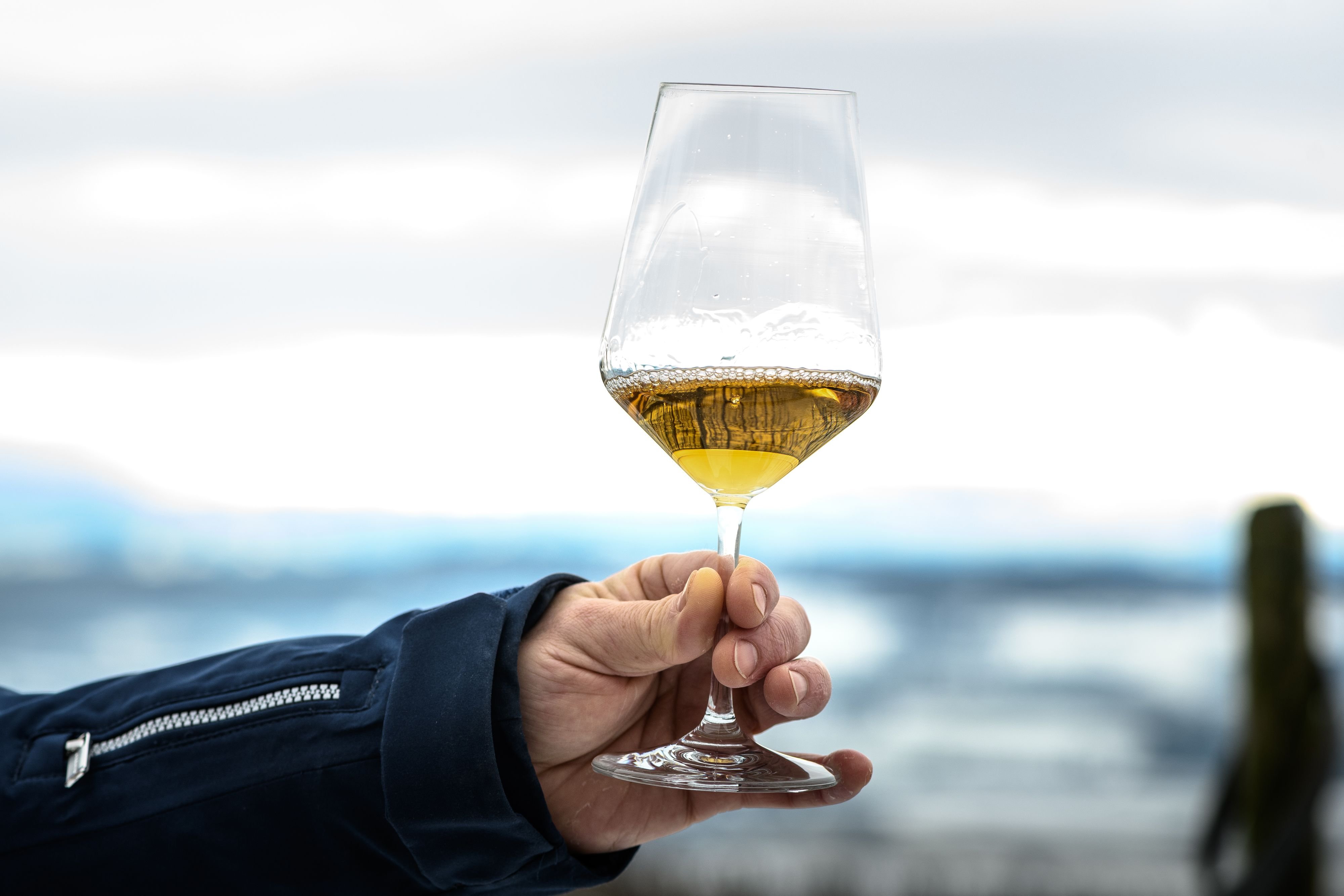 Ein-Glas-Wein-macht-noch-keinen-schlechten-Politiker