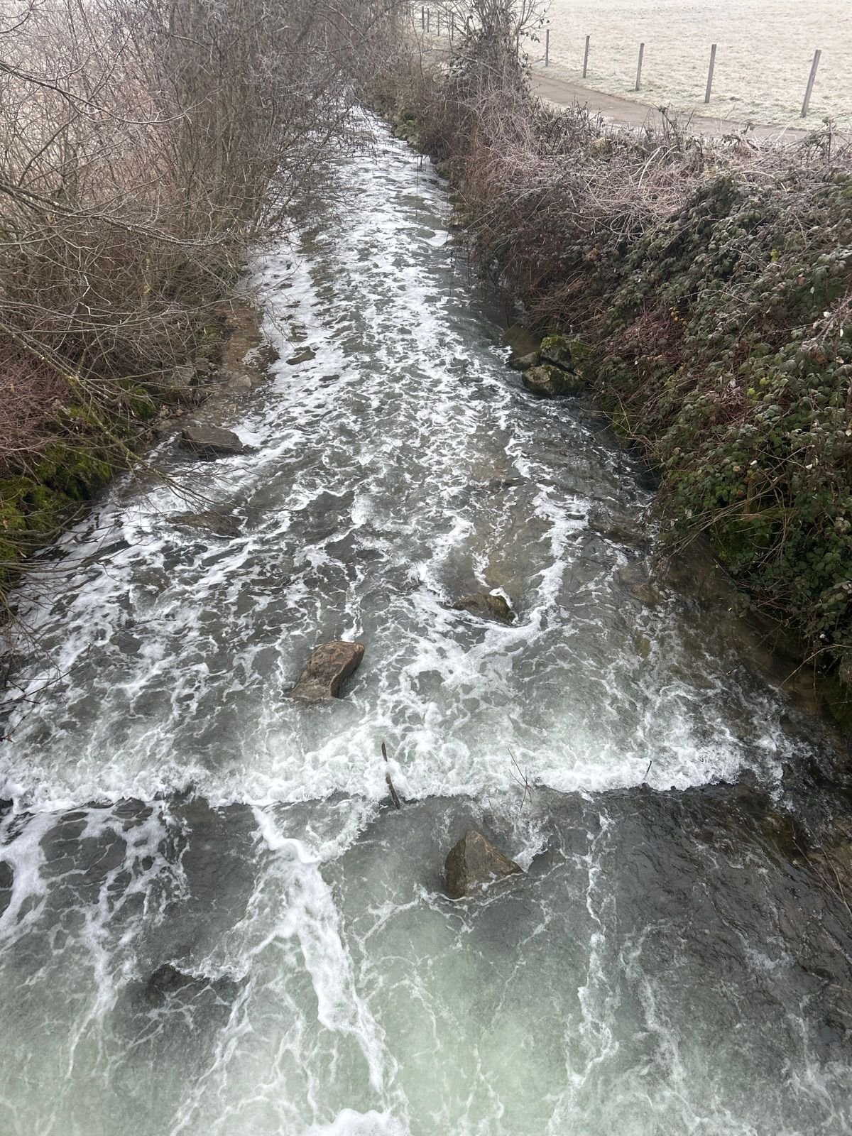 Baselbieter-Amt-f-r-Umwelt-r-tselt-ber-Schaum-in-Frenke-und-Ergolz