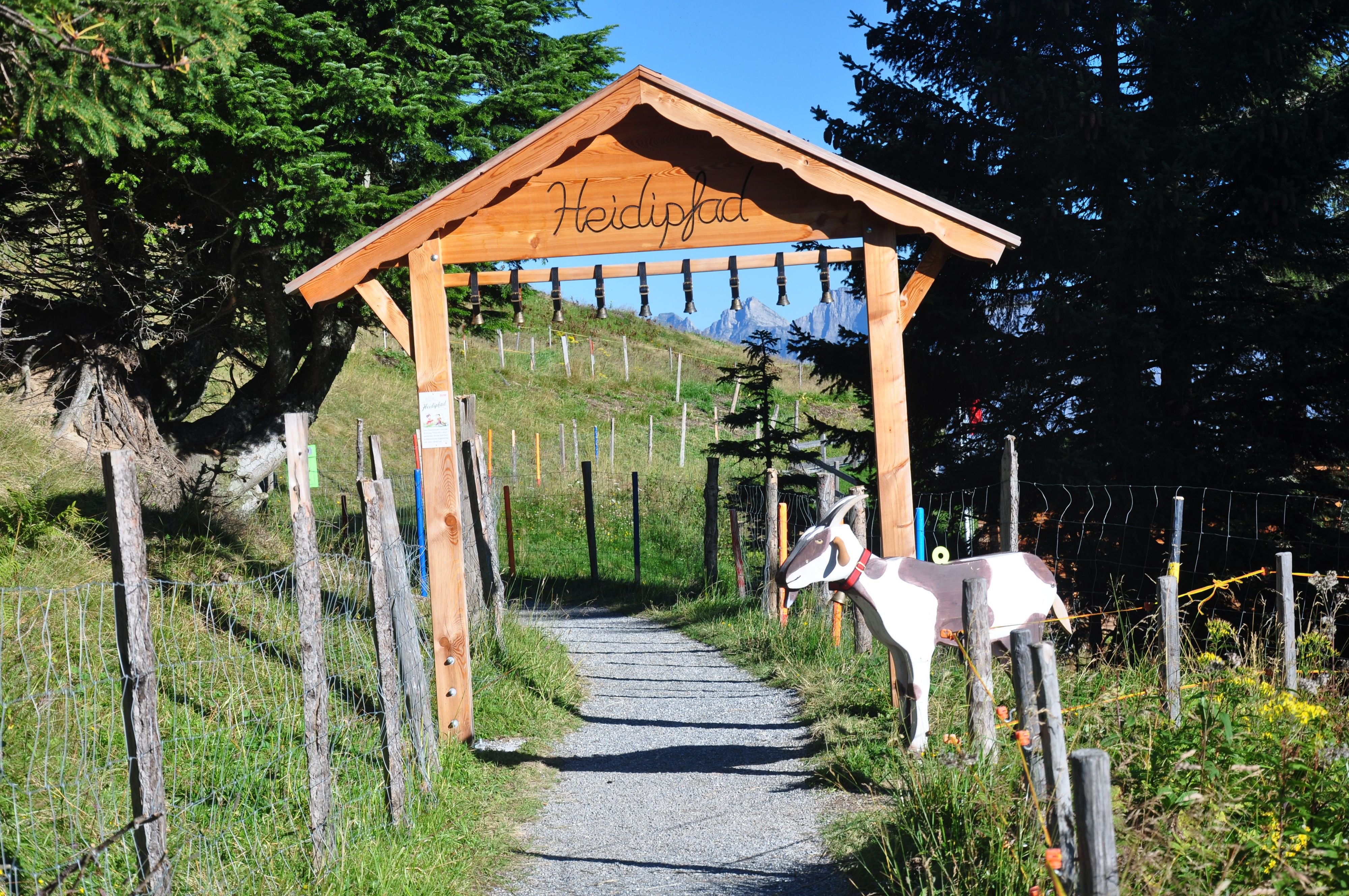 Freispr-che-im-Heidiweg-Prozess-Wanderer-handeln-eigenverantwortlich