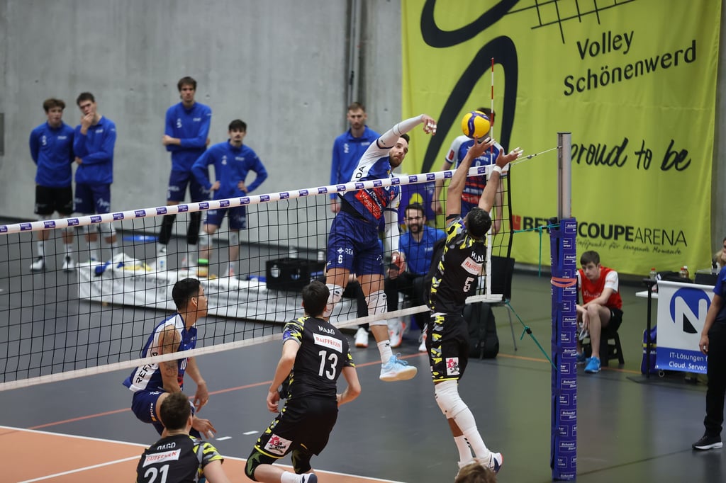 Titelverteidiger Volley Amriswil steht erneut im Cupfinal und trifft dort auf Näfels